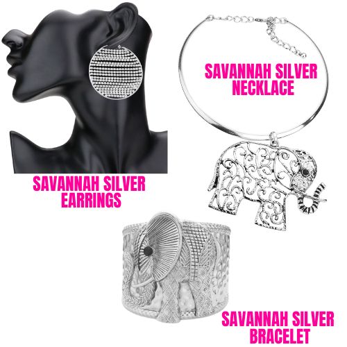 Savannah Silver Earrings